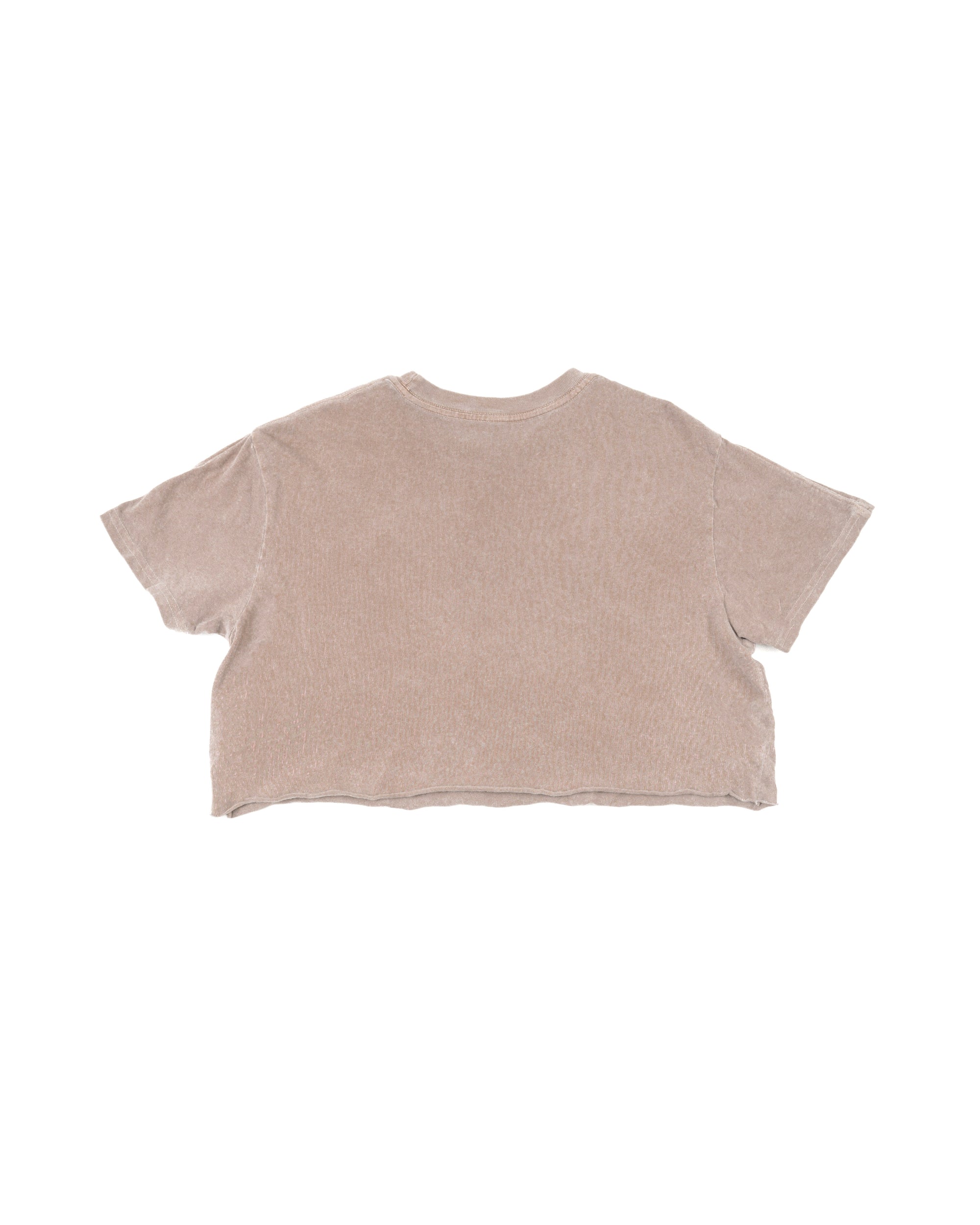 Beach Crop Tee